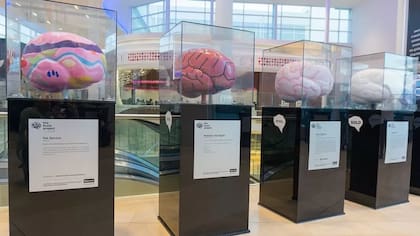 ¿Dónde radica la genialidad humana?