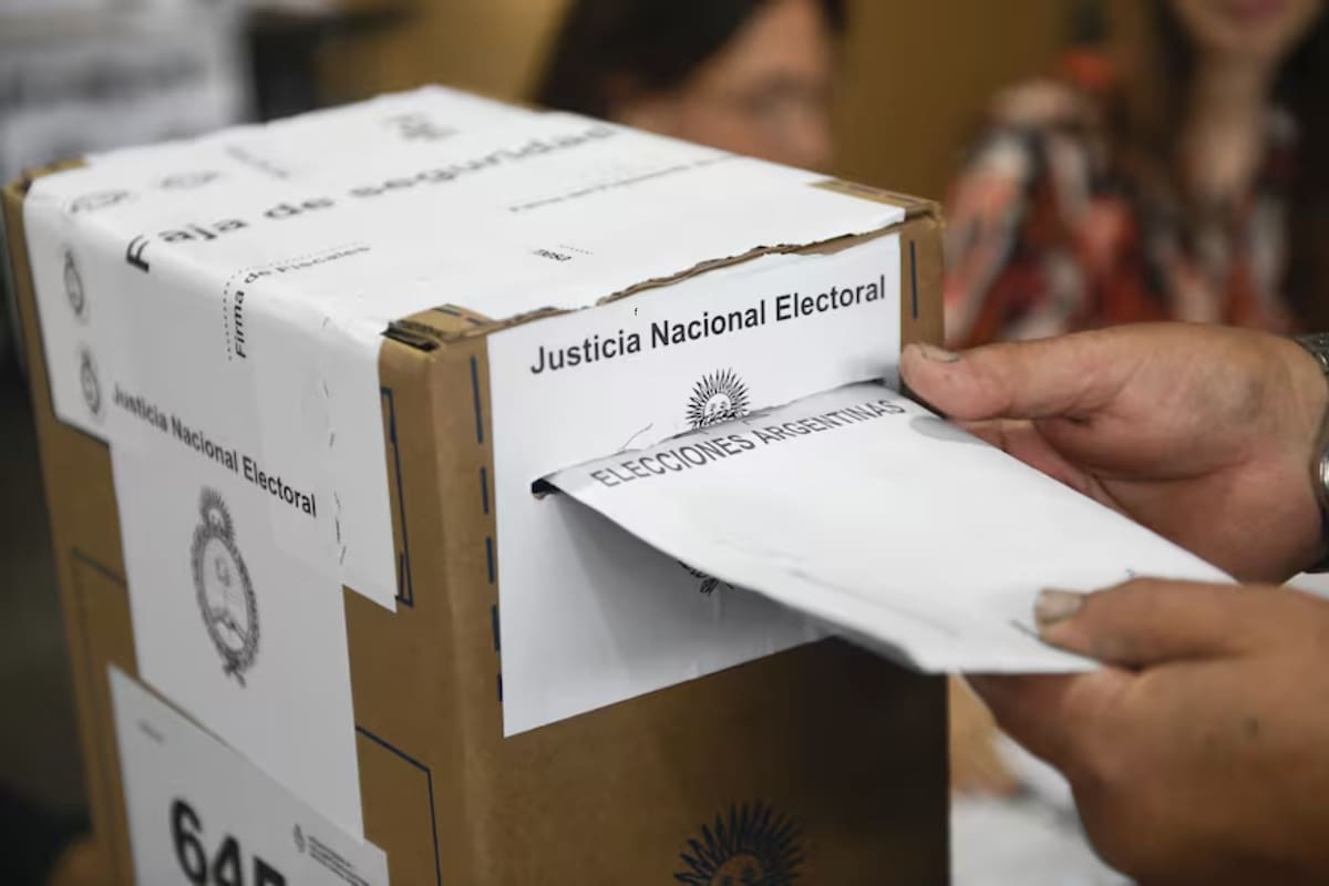 Dónde voto en San Luis: cómo consultar el padrón electoral