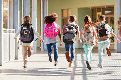 Dora Pekec afirmó que "identificar la capacidad académica a los 4 años es difícil de hacer de manera objetiva", por lo que el nuevo modelo buscaría asegurar que todos los estudiantes reciban una educación temprana de calidad que les permita ser desafiados