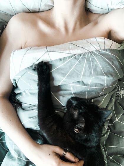 Dormir cerca de la cabeza o los pies de sus dueños permite a los gatos estar en contacto sin perder la capacidad de vigilar el entorno