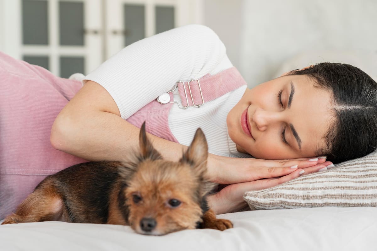 ¿Dormir con el perro en la cama es bueno o malo? Expertos explican ventajas y riesgos. Foto: Freepick