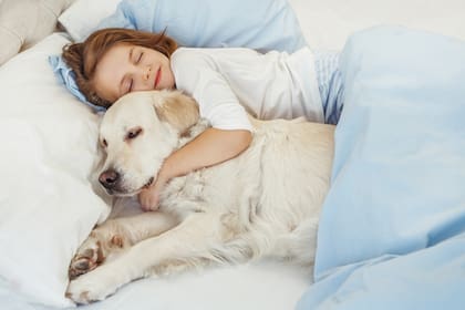Dormir con el perro... un placer y, ¿un riesgo?