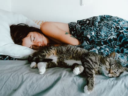 Dormir con un gato disminuye el estrés y la ansiedad