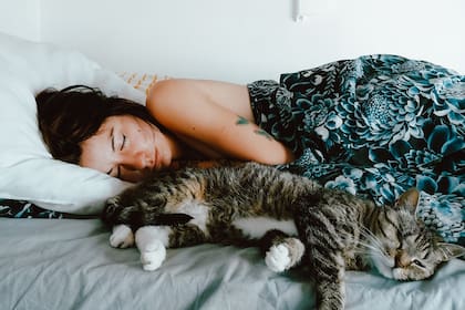 Dormir con un gato disminuye en un 30% los problemas cardíacos