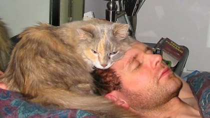 Dormir en esta posición ayuda a reducir los niveles de cortisol, una hormona vinculada al estrés