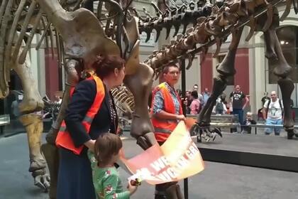 Dos activistas se pegaron al esqueleto de un dinosaurio en un museo de Berlín