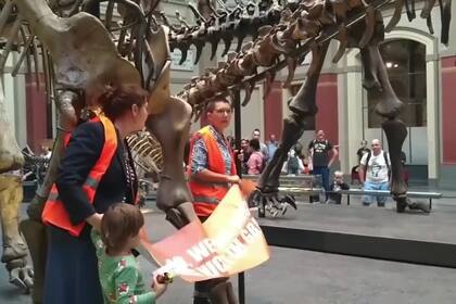 Dos activistas se pegaron al esqueleto de un dinosaurio en un museo de Berlín