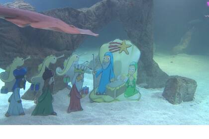 Dos buceadores se sumergieron para armar el pesebre bajo el agua - Créditos: Youtube Videlo