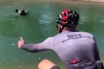 Dos ciclistas intentaron rescatar a un jabalí y fueron mordidos por el animal