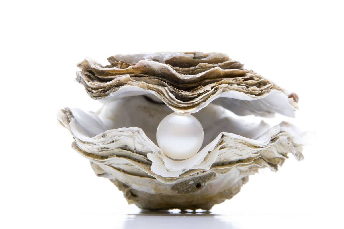 Dos décadas de ostras en Argentina; el restaurante de Gabriel Oggero, Crizia, llevó el producto a un nuevo nivel.