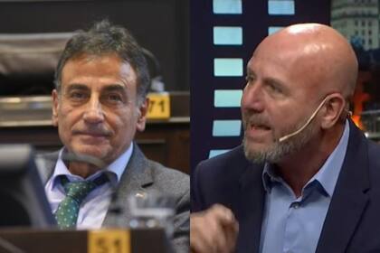 Dos diputados, uno bonaerense y otro nacional, fueron blanco de ataques.