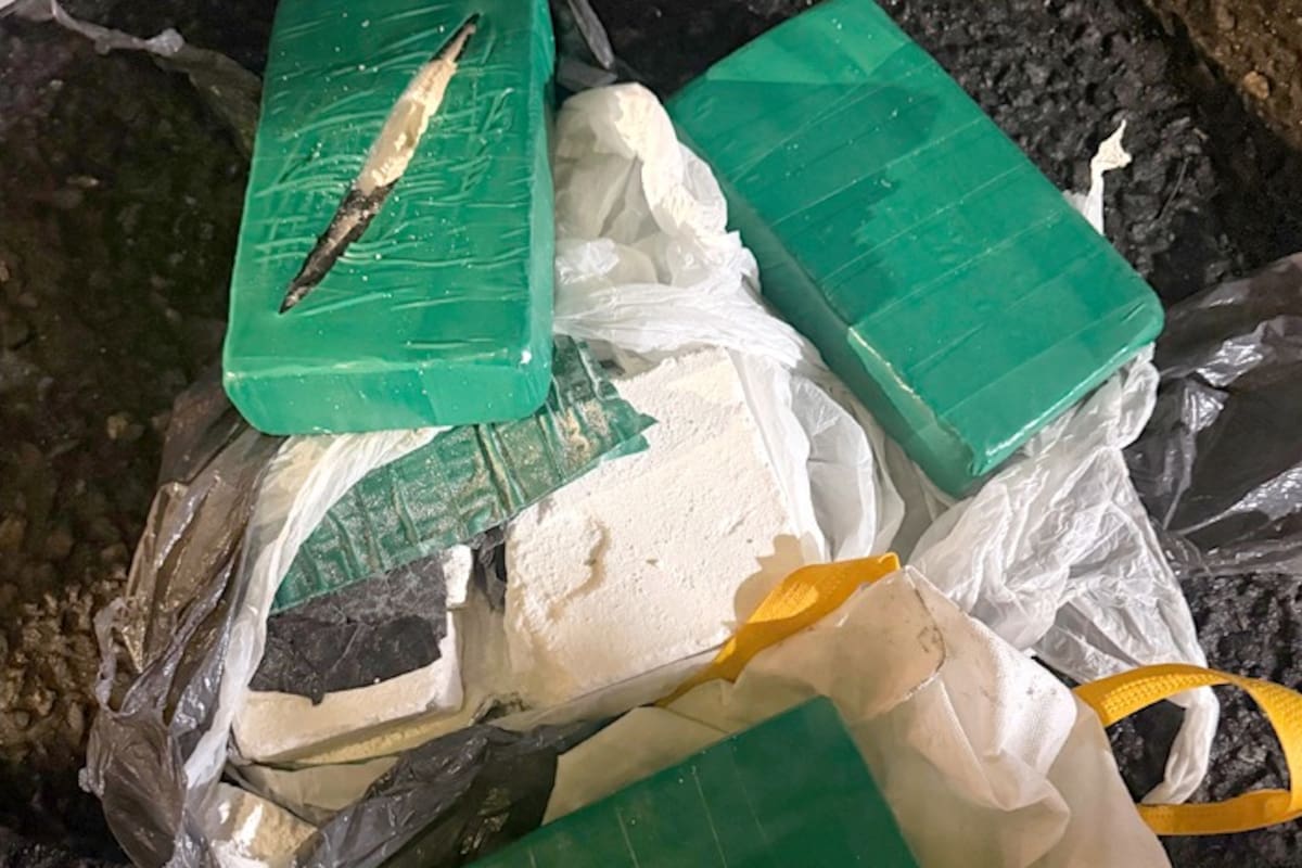 Dos hermanos fueron detenidos en Boedo con más de cuatro kilos de cocaína