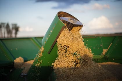 Dos Hermanos procesa unas 60.000 toneladas anuales de arroz.