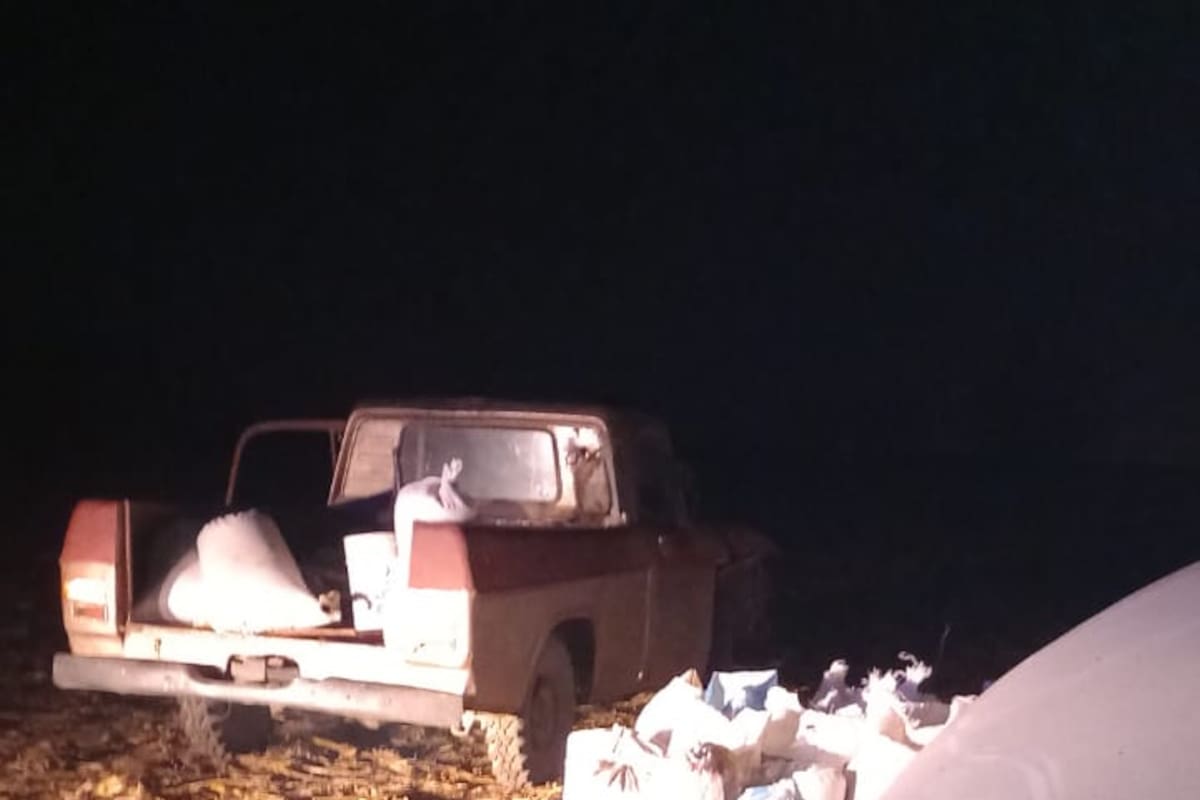 Dos hombres, de 30 y 34 años, fueron detenidos en un campo de Baradero mientras cargaban en la caja de una pick up, sin patente, bolsas de arpillera que habían rellenado con maíz de un silobolsa