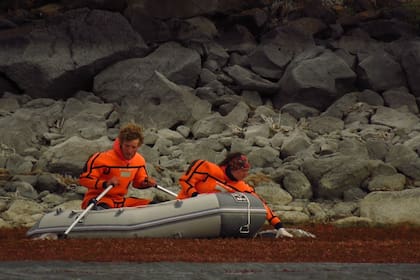 Dos integrantes del equipo recuperan huevos abandonados