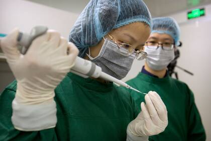 Dos investigadores del equipo de He Jiankui en China; dicen ser los primeros en modificar los genes de un bebé para hacerlo resistente al VIH