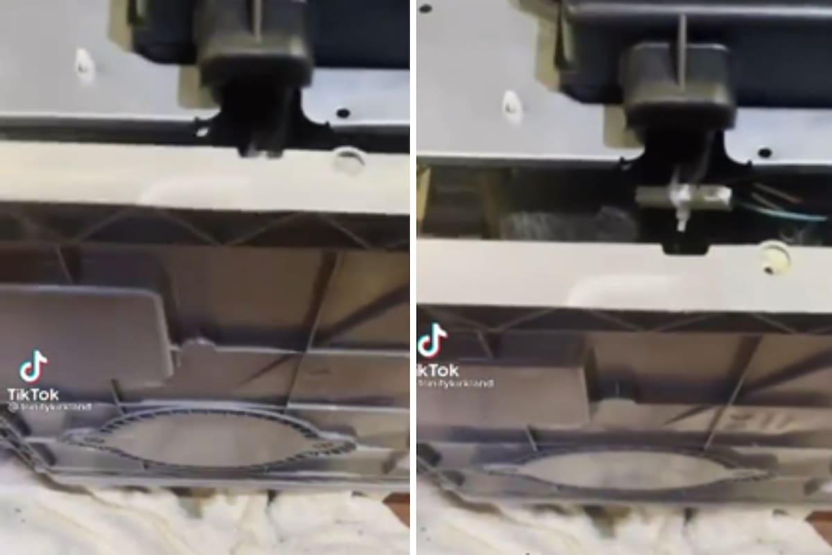 Dos jóvenes decidieron arreglar por su cuenta un lavavajillas y se horrorizaron con lo que encontraron