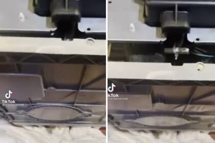 Dos jóvenes decidieron arreglar por su cuenta un lavavajillas y se horrorizaron con lo que encontraron