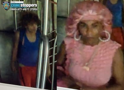Dos jóvenes robaron un vagón del metro en Nueva York