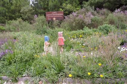 Dos jóvenes visitantes hacen un paseo guiado por el laberinto. La apreciación, valorización, investigación e integración de la flora nativa es el objetivo central de Psamófila.