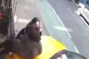 Dos mujeres fueron atropelladas mientras paseaban por un vereda de Nueva York