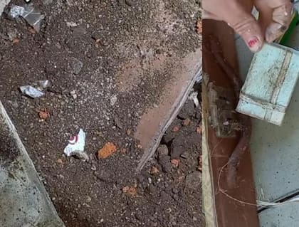 Dos mujeres quitaron nueve baldosas usando un destornillador y descubrieron un auténtico tesoro