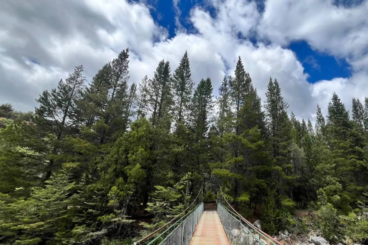 Dos nuevas pasarelas sobre el río Azul permiten un acceso seguro al área protegida.