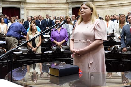 Dos nuevos diputados juraron al comienzo de la sesión