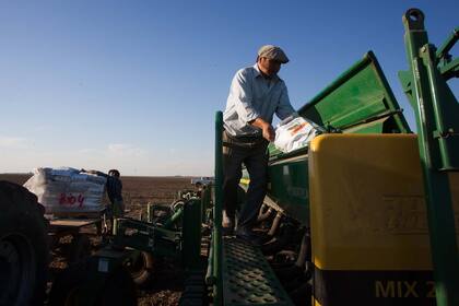 Siembra. Con el comienzo de la campaña agrícola se advierten problemas en los insumos