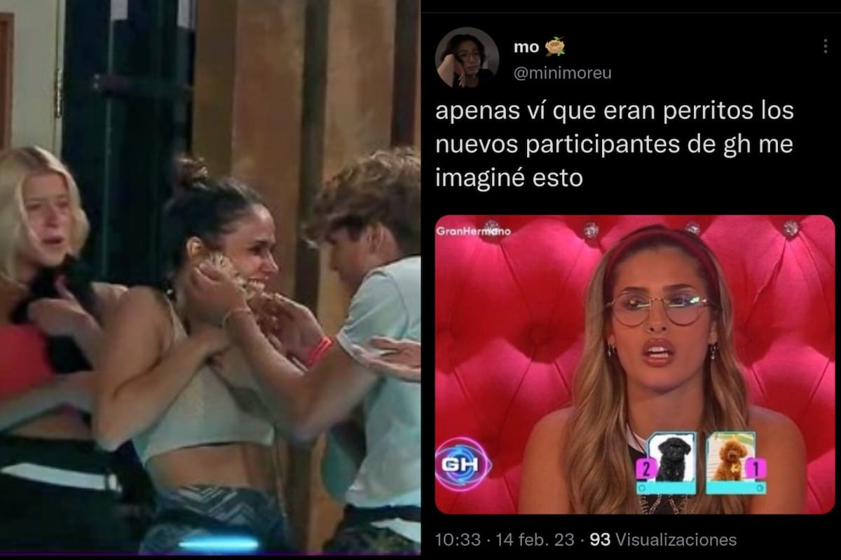 Dos perritos son las nuevas mascotas de la casa de GH y las redes estallaron (Captura Twitter)