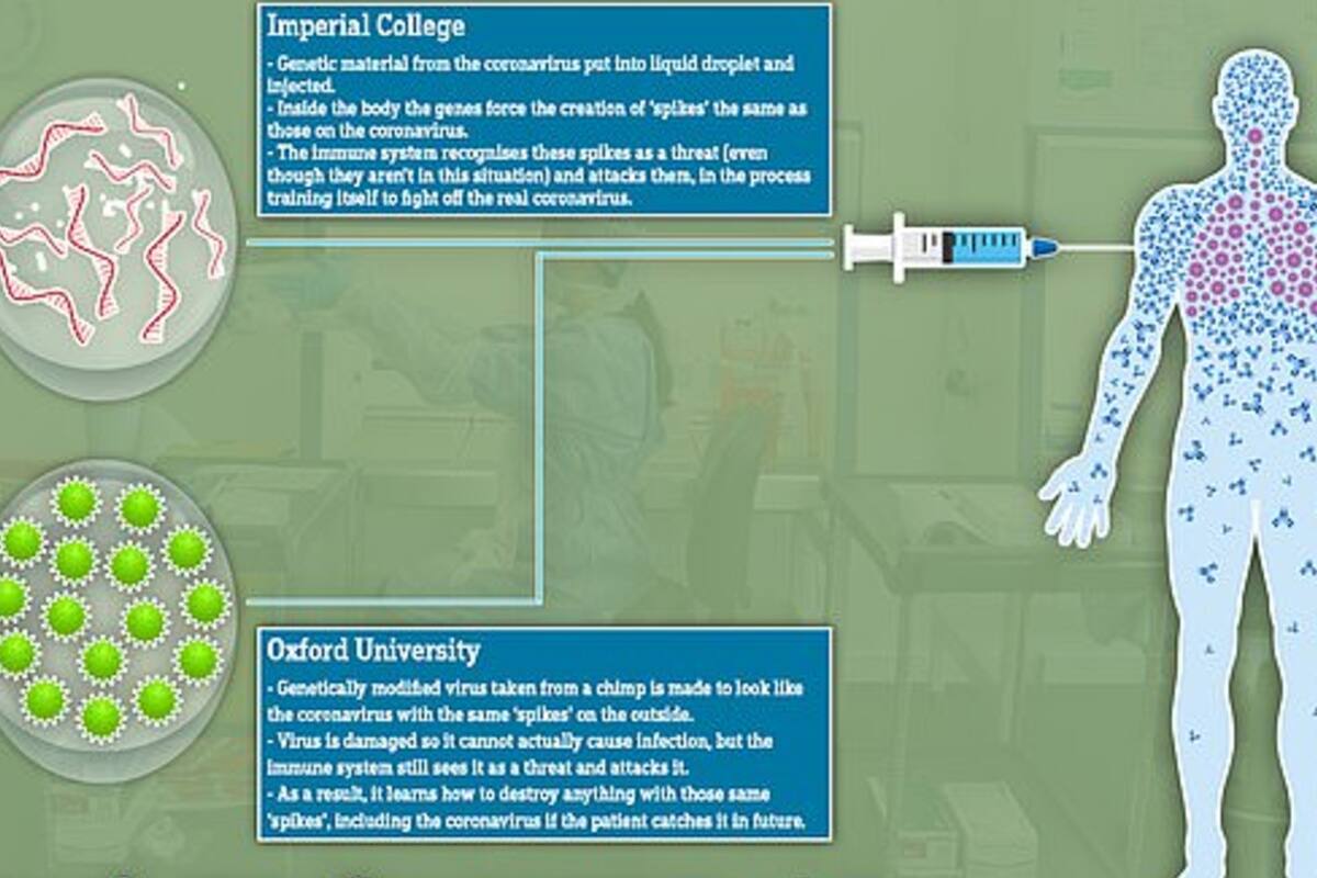 Dos posibles vacunas contra el coronavirus se desarrollaron en el Reino Unido. Hoy empiezan las pruebas para la de Oxford (MailOnline).