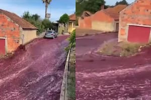 Dos tanques de una destilería estallaron y formaron un río de vino en Portugal