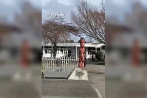 Dos tiktokers argentinos mostraron cómo se veía una escuela en Nueva Zelanda y las diferencias con los establecimientos de nuestro país saltaron a la vista