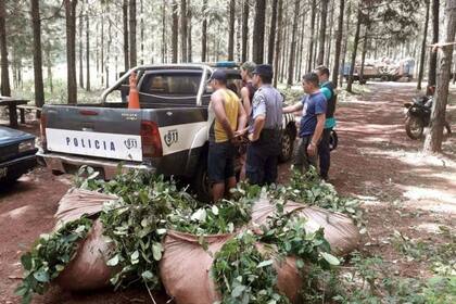 Dos transportistas detenidos con "raídos" de hoja verde