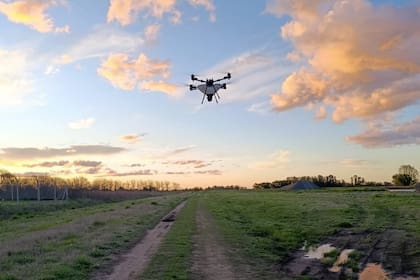 Drones que mapean variabilidad y aplican con exactitud quirúrgica