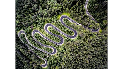 Segundo Premio categoría "Naturaleza"