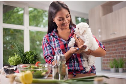 Dueños y veterinarias promueven una alimentación natural, libre de conservantes