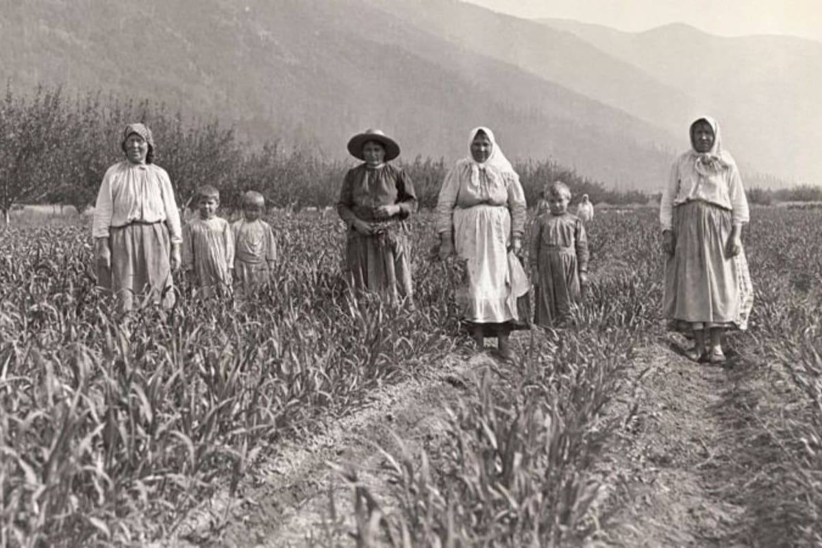 Dujobores en una de las numerosas granjas modelo gestionadas de forma cooperativa por el asentamiento de Kootenay, Canadá, en 1910