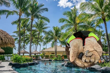 Durante 10 años los intentos por erradicarlos han sido infructuosos y el crecimiento exponencial de la población ha puesto en alerta a las autoridades (Canva - ISC)