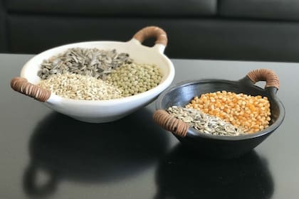 Durante 2018 el mercado mundial de la alimentación de aves y mascotas movió 15 mil millones de dólares; crece a un ritmo anual de entre el 4% y el 5%