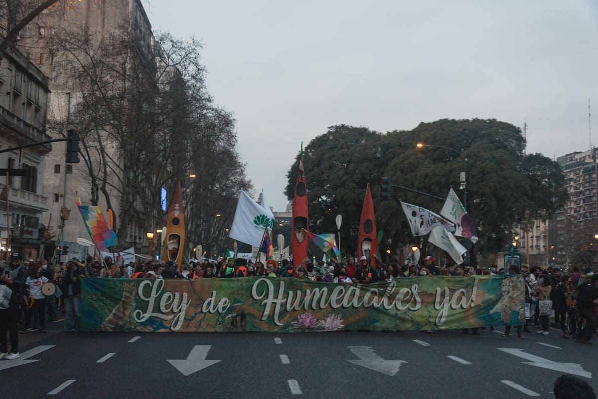 Durante 2020 se presentaron 15 proyectos de ley para proteger los humedales en la Argentina