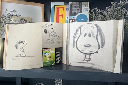 Durante casi 50 años Charles Schulz dibujó a mano 17.897 tiras, que llegaron a .600 diarios en 75 países