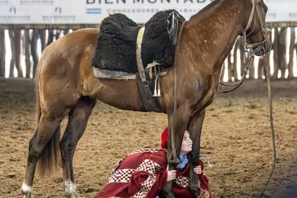 Durante dos jornadas intensas, jinetes, domadores, veterinarios y amantes del caballo compartirán saberes, experiencias y prácticas en un entorno de aprendizaje colaborativo