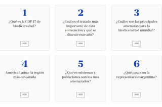 Qué es, cuál es el principal proyecto mundial que se discute y cómo afecta a la Argentina