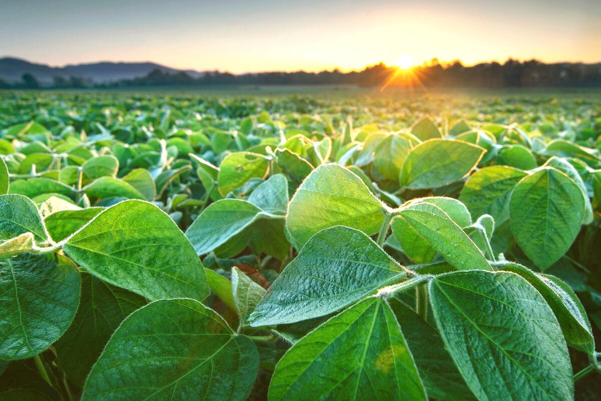 Durante el evento se presentarán las problemáticas y los desafíos de la cadena en su conjunto
