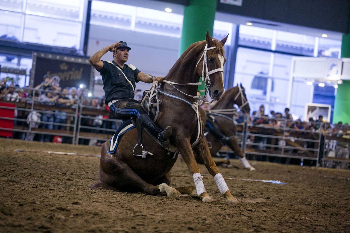 Durante el evento se realizará la Jornada Internacional de Equinoterapia y Psicoterapia Asistida con Equinos