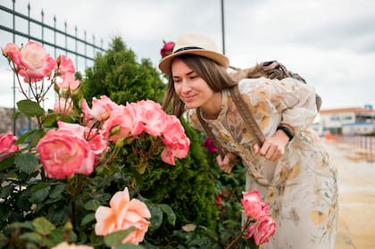 Durante el inicio de la primavera, los días y las noches tendrán, aproximadamente, la misma duración (Web/Freepik)
