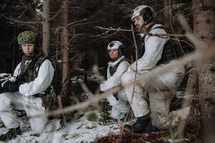 “Durante el invierno, la princesa ha completado su entrenamiento de oficial pasando algún tiempo en el ejército”, anunciaron desde su cuenta oficial