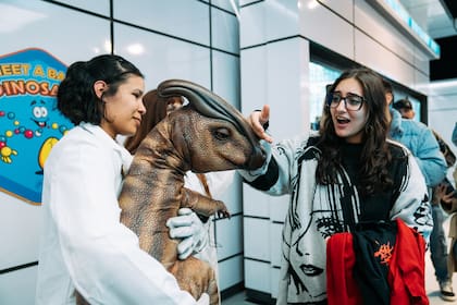 Durante el recorrido, los visitantes pueden encontrarse con un Brachiosaurus de tamaño real, velocirraptores y Blue, uno de los dinosaurios más reconocidos por los seguidores de la saga