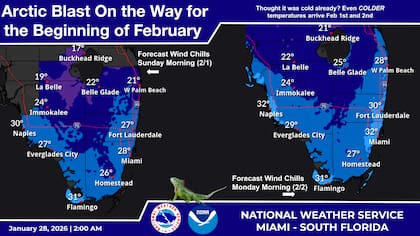 Durante este fin de semana, Miami podría registrar las temperaturas más bajas en 15 años